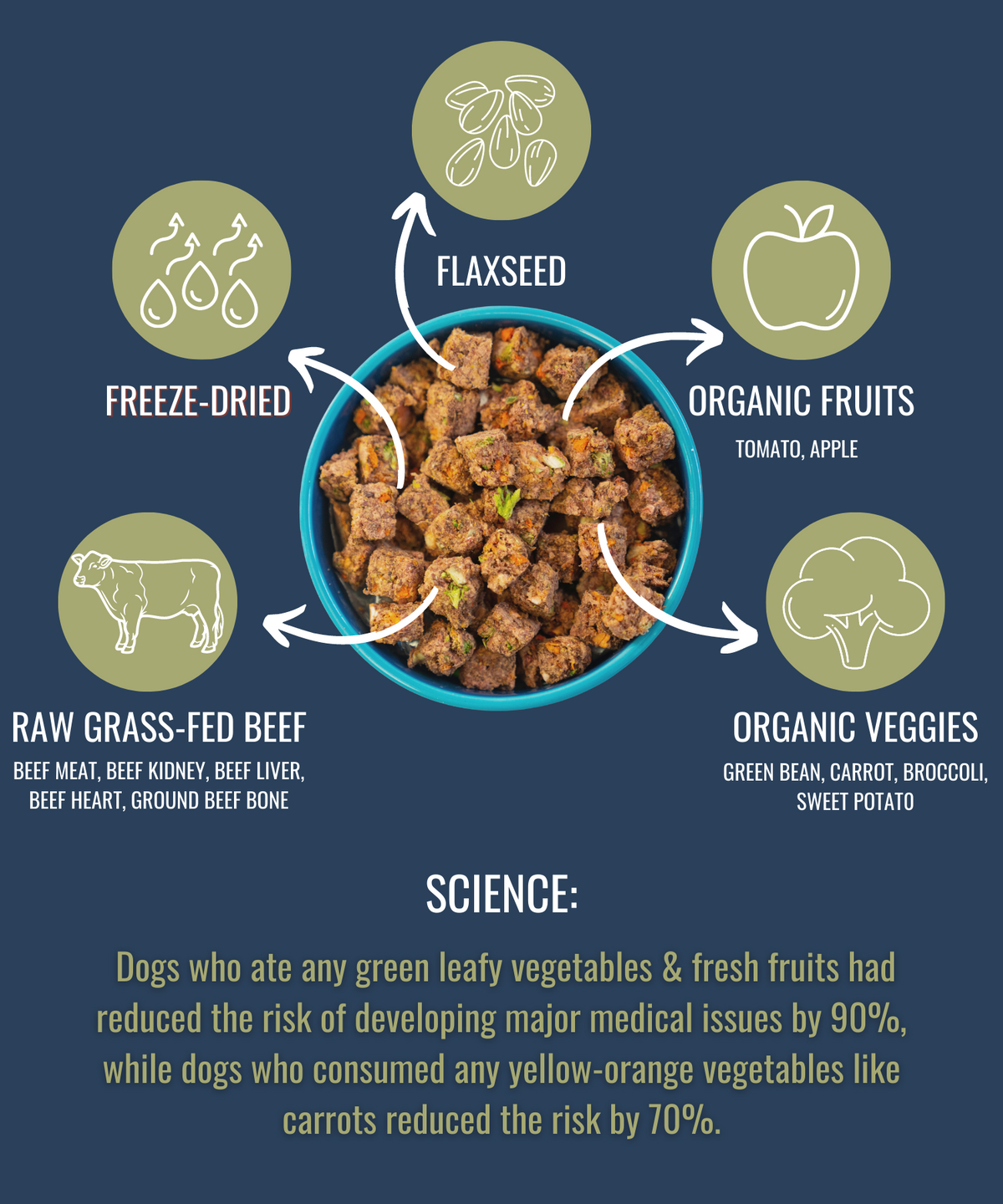 Freeze-Dried Raw Beef — Formulated for Dog Longevity